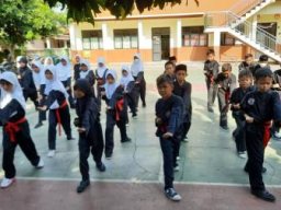 Pencak Silat